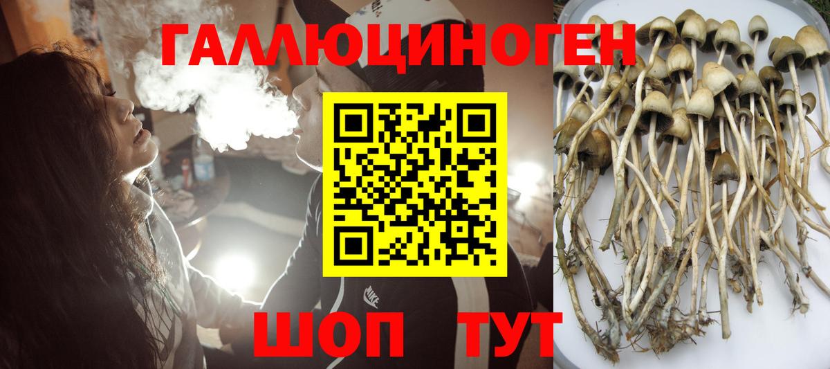 Псилоцибиновые грибы Psilocybe  Галлюциногенные грибы GOLDEN TEACHER  Вход с VPN  Северск 